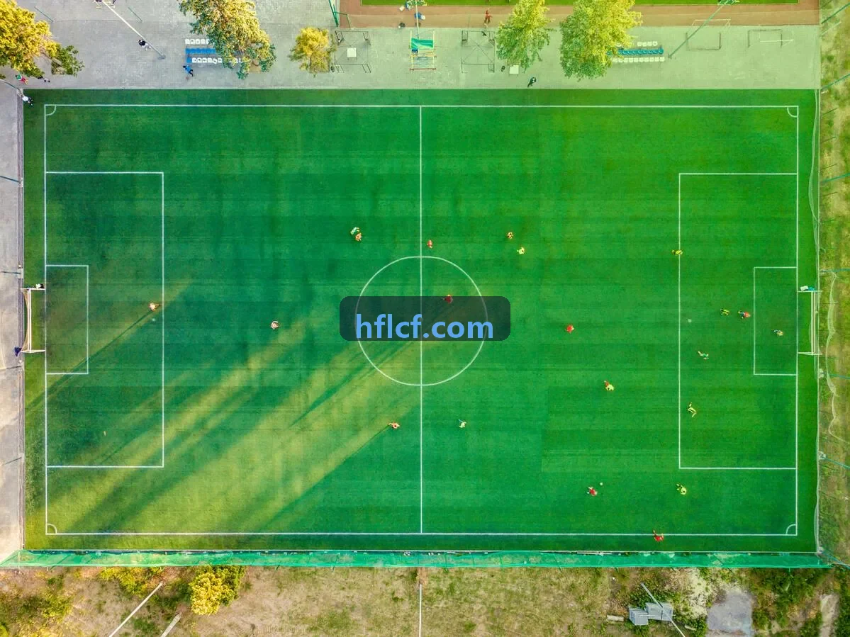 欧美操逼大片主题片单封面
